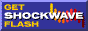 Macromedia Web Player �_�E�����[�h�Z���^�[